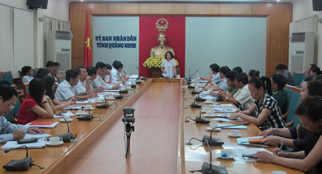 Đồng chí Vũ Thị Thu Thủy, Phó Chủ tịch UBND tinh phát biểu tại buổi làm việc.