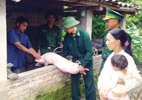 CBCS Đồn BP Hoành Mô tặng lợn giống cho gia đình anh La Tiến Dân, ở thôn Nà Xa, xã Hoành Mô (Bình Liêu).