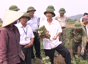 Đông Triều cần tập trung chuyển đổi mô hình phát triển kinh tế, khai thác lợi thế tài nguyên thiên nhiên và đầu mối giao thương