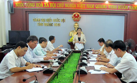 Đồng chí Đỗ Thị Hoàng, Phó Bí thư Thường trực Tỉnh ủy, Trưởng Đoàn ĐBQH tỉnh phát biểu kết luận cuộc họp.