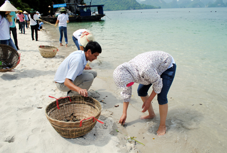 Đoàn viên Công đoàn Viên chức tỉnh tham gia dọn vệ sinh tại bãi tắm Soi Sim (Vịnh Hạ Long) hưởng ứng Ngày Môi trường thế giới 5-6 và Tuần lễ biển và hải đảo năm 2012.