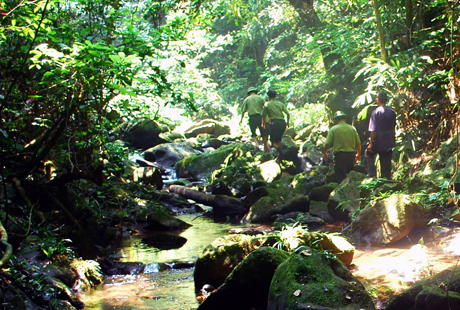 Nhiều con suối trong Khu bảo tồn thiên nhiên Đồng Sơn - Kỳ Thượng đã góp phần tạo ra sông Ba Chẽ. 