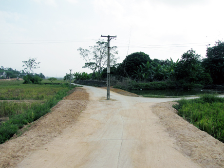 Đôạn đường từ cầu Bình Sơn đi vào thôn 7 Đồng Cấm dài trên 1.000m mới được nâng cấp bằng bê tông lại có những cột điện dưới lòng đường.