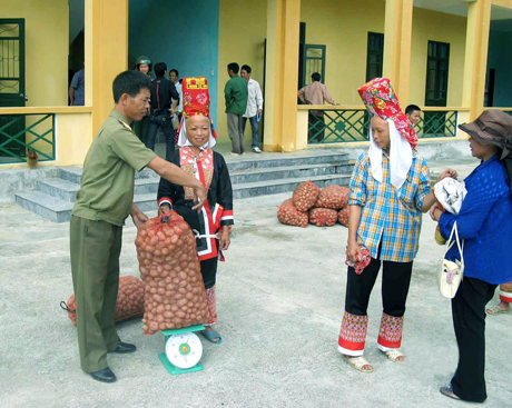 Cán bộ, chiến sĩ Lâm trường 103 (Đoàn Kinh tế quốc phòng 327), tặng bà con dân tộc thiểu số xã Quảng Sơn khoai tây giống để phát triển sản xuất.