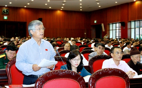 Đại biểu Trần Xuân Hòa tham gia thảo luận tại hội trường.