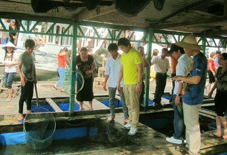 Khách du lịch tham quan, mua hải sản tại làng chài Cửa Vạn, phường Hùng Thắng (TP Hạ Long). Ảnh: Quang Minh