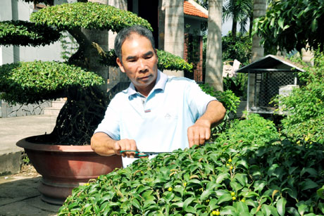 Lão nông Nguyễn Văn Đông miệt mài cắt tỉa, chăm sóc cây cảnh trong khu vườn giá trị cả tỷ đồng.