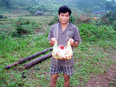 Anh Chăn Sàu (thôn Nà Hắc, xã Hà Lâu) với túi nấm chẹo, thành quả của một buổi hái “lộc rừng”.
