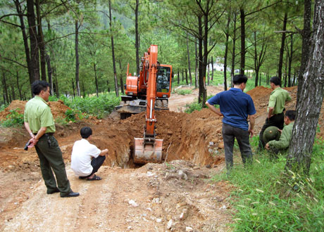 Hạt Kiểm lâm TX Quảng Yên phối hợp với cơ quan chức năng phường Minh Thành (TX Quảng Yên) ngăn chặn, xử lý phương tiện làm đường chở than trái phép trong rừng thông.