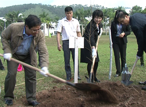 Tiếp nhận và trồng 140 cây hoa anh đào do đoàn chuyên gia Nhật Bản trao tặng