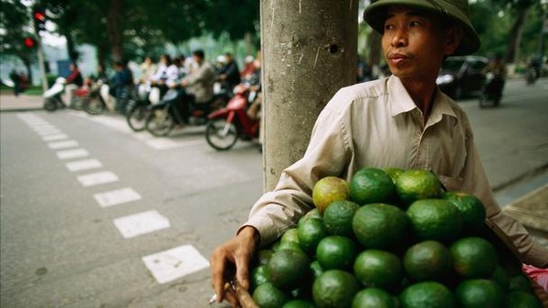 Agriculture plays an important role in Vietnam's economy, contributing  more than 20% of GDP. Farmers from the suburban areas often carry vegetables to the city and vendor on the busy street.