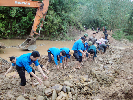 ĐVTN xã Đồng Sơn (Hoành Bồ) làm cầu tạm qua suối Đội 3, thôn Phủ Liễn.