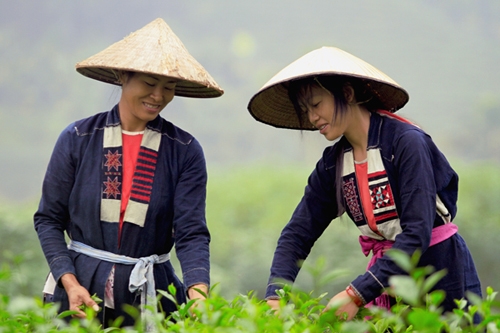 The San Chay girls (also known as Cao Lan, San Chi, etc.). San Chay people mainly live in the North East. There are many San Chay people in the provinces of Tuyen Quang, Thai Nguyen and Bac Giang.