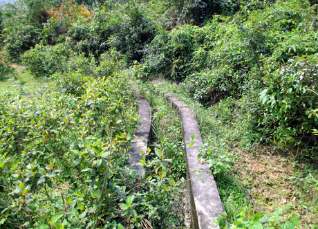 Tuyến kênh của thôn Lục Chắn, xã Hải Sơn (Móng Cái)  đã bị cây cối mọc um tùm che phủ.