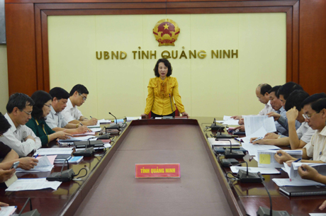 Đồng chí Vũ Thị Thu Thủy, Phó Chủ tịch UBND tỉnh chủ trì cuộc họp.