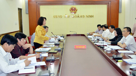 Đồng chí Vũ Thị Thu Thủy, Phó Chủ tịch UBND tỉnh phát biểu tại cuộc họp.