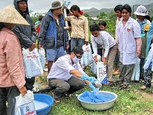  Cán bộ y tế tẩm hóa chất và cấp màn cho nhân dân ở Quảng Ngãi. (Ảnh: Thanh Long/TTXVN) 