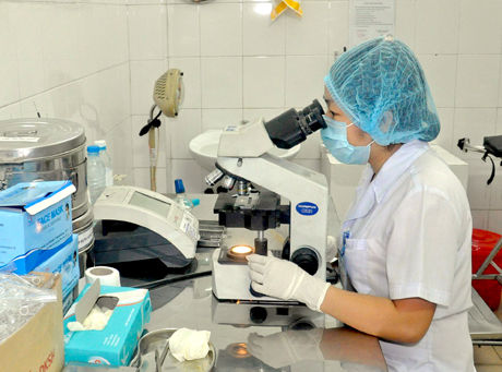 Soi tiêu bản phát hiện nấm da tại Trung tâm Phòng chống bệnh xã hội tỉnh.