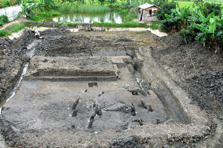 Bãi cọc Đồng Má Ngựa được khai quật năm 2010, nằm giữa khu vực nuôi trồng thuỷ sản và canh tác lúa của người dân. Ảnh: Nguyễn Văn Dũng (CTV)