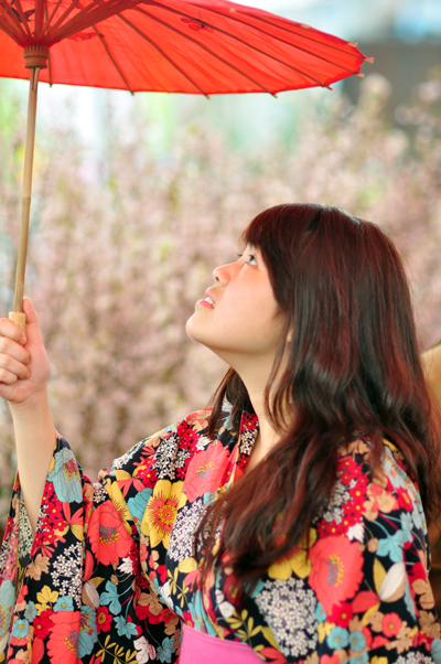 Thiếu nữ duyên dáng trong bô Kimono truyền thống của Nhật Bản tạo dáng cùng hoa anh đào.