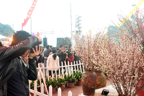 Lễ hội Hoa anh đào là dịp để những người đam mê ảnh chụp cho mình những bức ảnh đẹp về hoa anh đào.