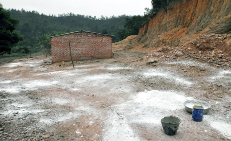 Toàn bộ khu chăn nuôi của gia đình ông Nguyễn Văn Tư, thôn 1, xã Nguyễn Huệ (Đông Triều) được phun thuốc tiêu trùng, khử độc và rắc vôi bột sau khi đã tiêu huỷ toàn bộ gia cầm mắc bệnh.