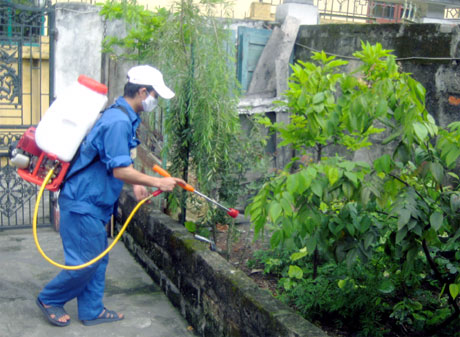  Phun thuốc diệt muỗi tại một hộ dân ở phường Hồng Hà, TP Hạ Long. (Ảnh: Thu Nguyệt)