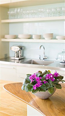 Quan tâm đến chất lượng chậu