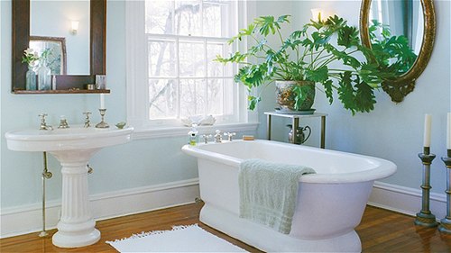 Chọn các loại cây phù hợp
