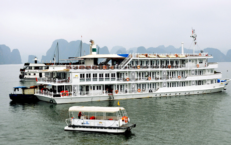 Ngày càng xuất hiện nhiều du thuyền sang trọng phục vụ khách du lịch tham quan Vịnh Hạ long.
