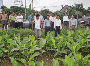 Phó Chủ tịch UBND tỉnh Đặng Huy Hậu kiểm tra tình hình sản xuất nông nghiệp và quản lý đất đai tại Bình Liêu