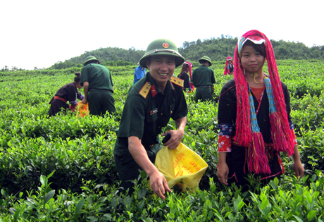 Hay như trên những nương chè, bà con thôn Khe Lánh 1 thường xuyên được nghe hướng dẫn cách chăm sóc, thu hái chè.