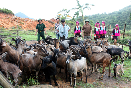 Còn ở thôn Cống Mản Thìn (xã Quảng Đức), trên lưng chừng đỉnh núi 855 (đây là tên gọi của một ngọn núi ở Quảng Đức được đặt theo độ cao so với mực nước biển) các chiến sĩ Đội 2 chăn nuôi của Lâm trường thì tổ chức các lớp học thực tế để phổ biến kỹ thuật nuôi dê, ngan, gà...