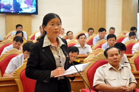 Đồng chí  Đỗ Thị Hoàng, Phó Bí thư Thường trực Tỉnh ủy phát biểu tại hội nghị.