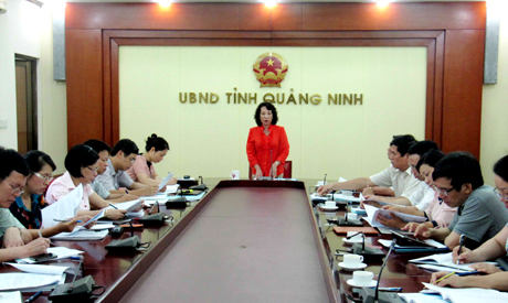 Đồng chí Vũ Thị Thu Thủy, Phó Chủ tịch UBND tỉnh, Trưởng BCĐ phát biểu tại cuộc họp.