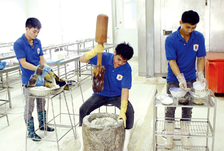 Braying is the traditional technique to make the special quality of Ha Long squid ball