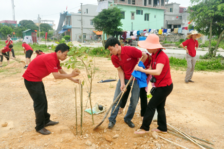 Các đoàn viên thanh niên tham gia trồng cây lưu niệm trên đảo Cô Tô.