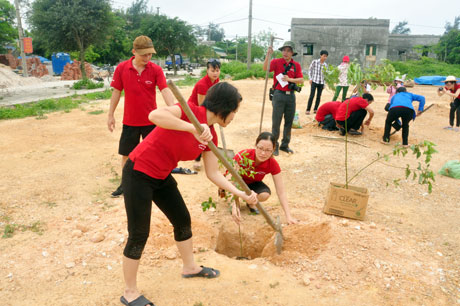 Tuổi trẻ các báo Đảng trung du miền núi phía Bắc trồng cây lưu niệm trên đảo Cô Tô.