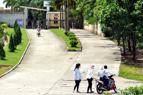 Tại cổng Trường THPT Nguyễn Bỉnh Khiêm (TP Hạ Long) tình trạng học sinh đi xe máy chở 3, chở 4 và không đội MBH diễn ra thường xuyên.