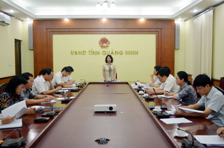 Đồng chí Vũ Thị Thu Thủy, Phó Chủ tịch UBND tỉnh, Trưởng Ban Chỉ đạo xây dựng Trường Đại học Hạ Long phát biểu tại cuộc họp.