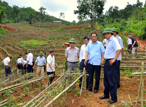 Bí thư Tỉnh ủy Phạm Minh Chính kiểm tra chương trình xây dựng NTM tại huyện Ba Chẽ