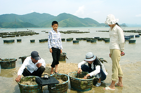 Mô hình nuôi tu hài thuộc Dự án “khai thác và phát triển bền vững nguồn lợi sá sùng Minh Châu” do Hội Nông dân tỉnh triển khai.