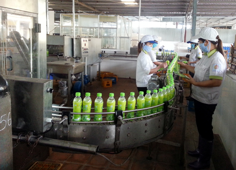 Sản xuất nước khoáng chanh tại Công ty CP Xây dựng và Sản xuất Bia - Rượu - Nước giải khát Cẩm Phả.