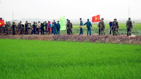 LLVT, dân quân tự vệ trên địa bàn thị xã tham gia làm đường tại phường Phong Cốc (TX Quảng Yên).