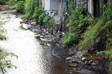 Tuyến mương thoát nước Hà Trung - Hà Lầm - Hà Khánh (TP Hạ Long) đang bị “bức tử” bởi rác thải sinh hoạt.