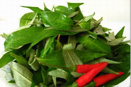 Rau răm chữa nhiều bệnh.
