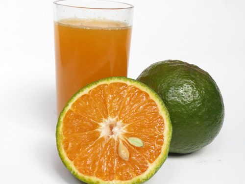 Nước cam giúp phục hồi sức khỏe - Ảnh: Đ.N.Thạch - Hạ Huy