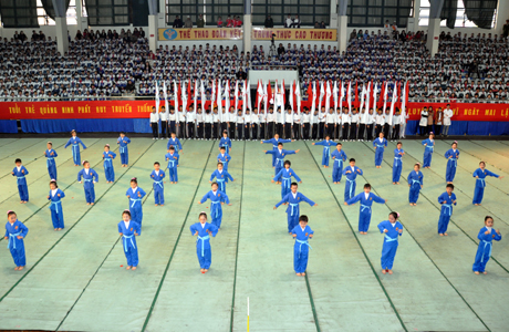 Biểu diễn môn võ thuật Wushu tại Hội khoẻ Phù Đổng toàn quốc lần thứ 8-2012.
