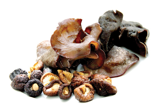 Trong nấm hương có nhiều chất cellulose thúc đẩy vị tràng co bóp, phòng bí đại tiện, giảm bớt sự hấp thu cholesterol của tiểu tràng.