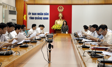 Đồng chí Vũ Thị Thu Thủy, Phó Chủ tịch UBND tỉnh phát biểu tại buổi làm việc.